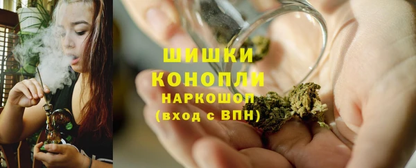 молекула духа Лабытнанги