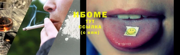 молекула духа Лабытнанги