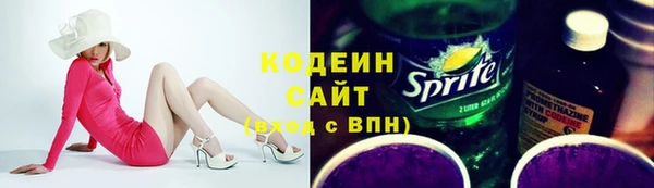 молекула духа Лабытнанги