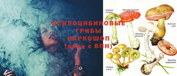кокс Ладушкин